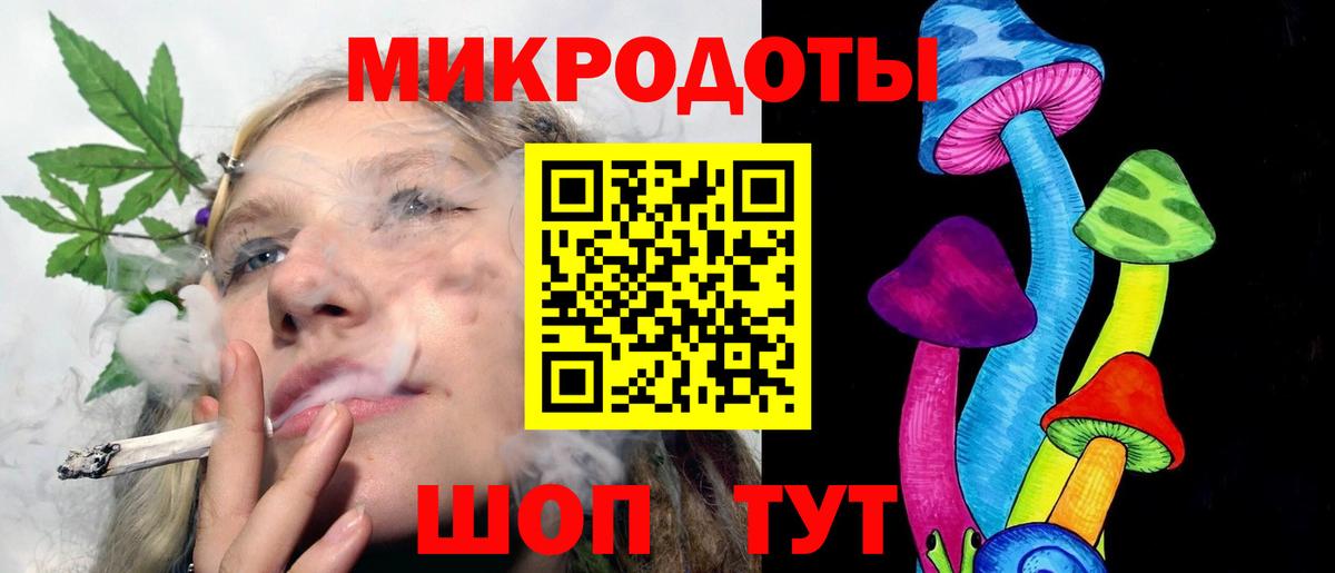Псилоцибиновые грибы Psilocybine cubensis Азов